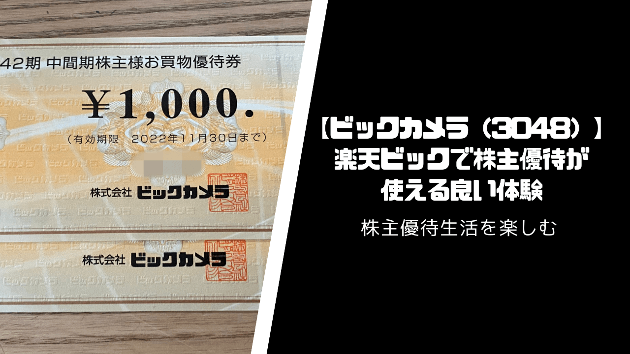 【ビックカメラ】期限間近でもOK！楽天ビックで株主優待が使用可能