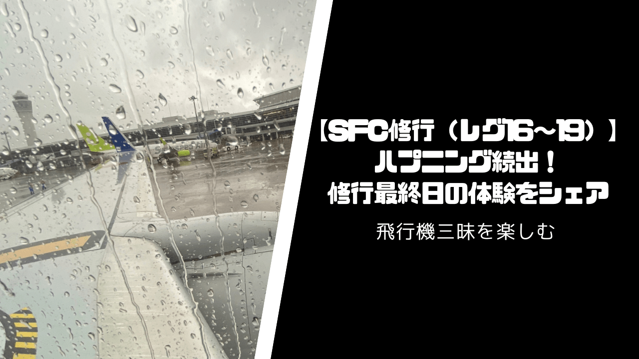 【SFC修行】ハプニング続出！最終日の修行体験8個【レグ16〜19】