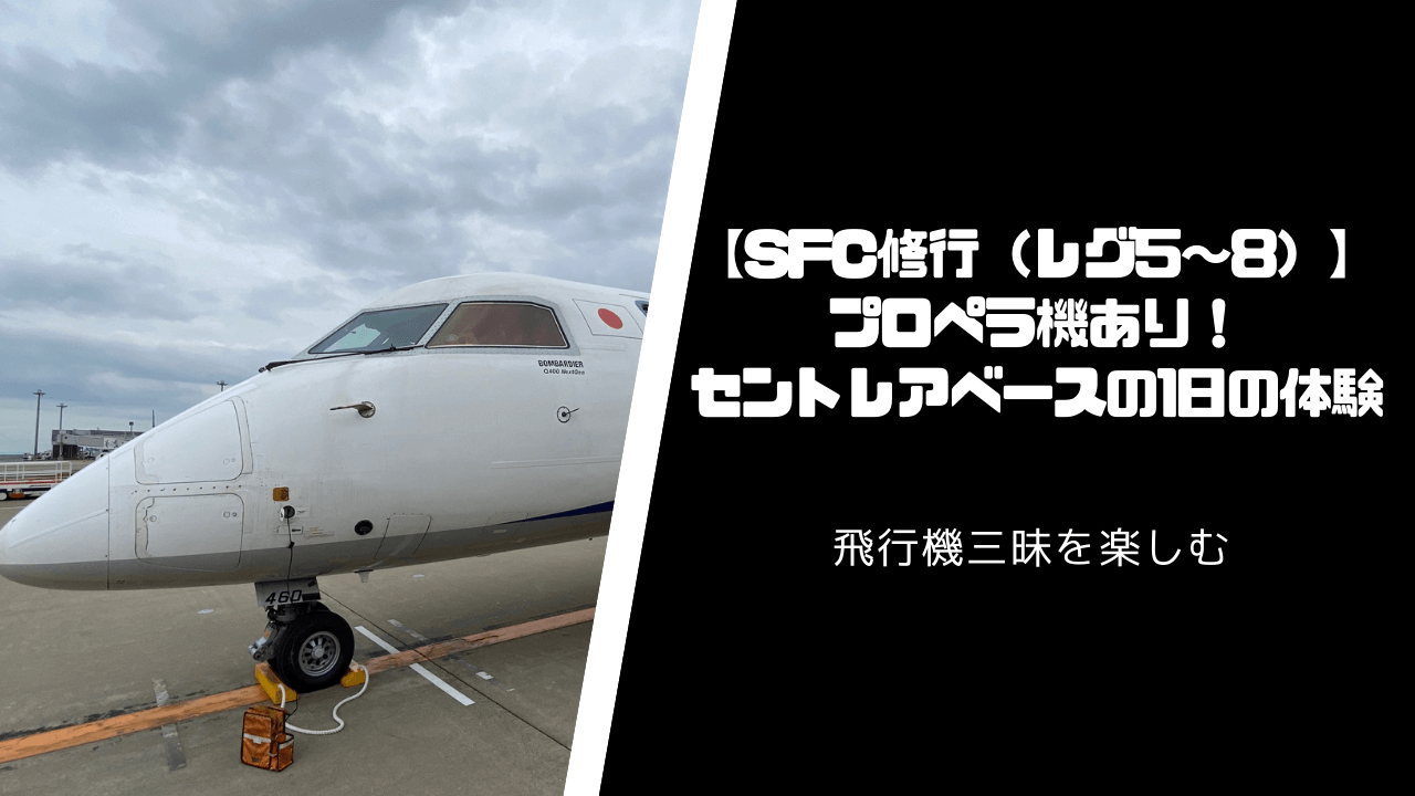 【SFC修行】同じルートでも飽きない？中部ベースの1日【レグ5〜8】